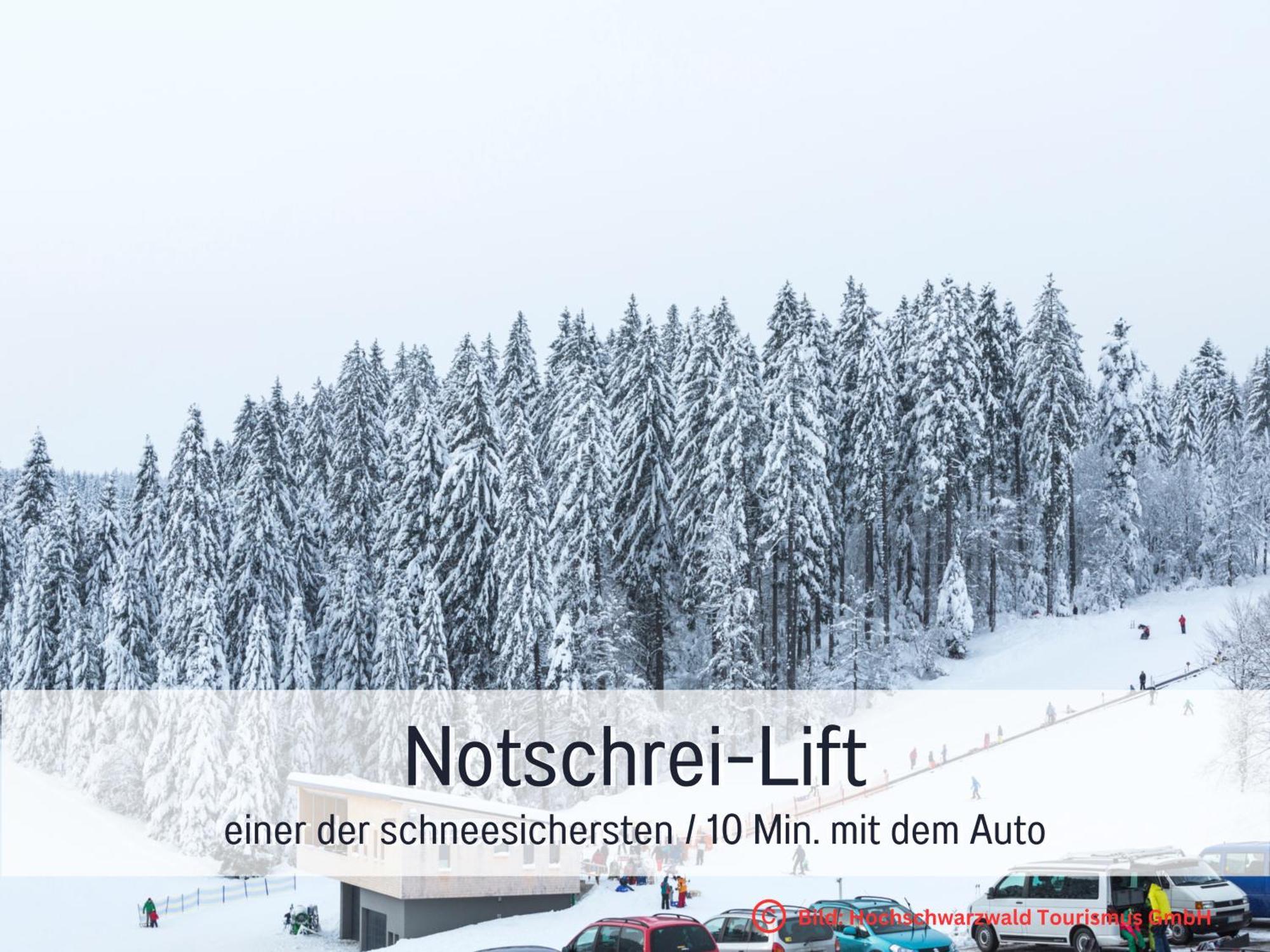 Baechle Im Wanderparadies Balkon Mit Blick Auf Den Bach Sauna Im Haus Tiefgarage E-Ladestation Todtnauberg Exterior foto